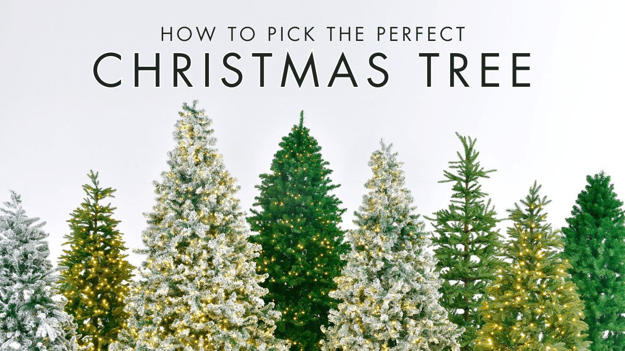 How to Pick the Perfect Christmas Tree – Irony Home