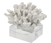 Coral Tabletop with Glass Base - ironyhome