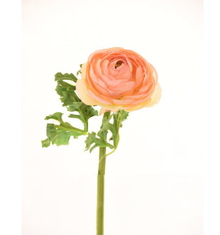 Faux Peach Ranunculus - Set of 6 - ironyhome