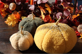 5 Cozy Essentials to Add This Autumn - ironyhome