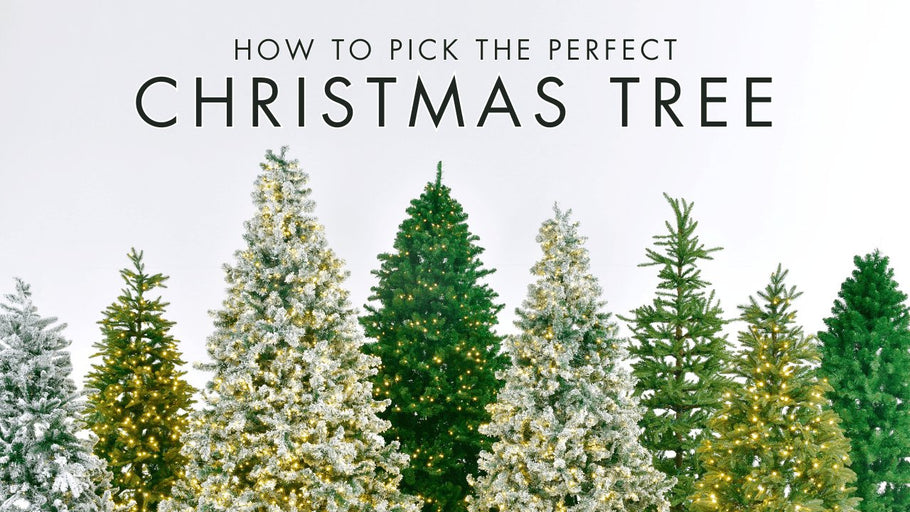 How to Pick the Perfect Christmas Tree 🎄
