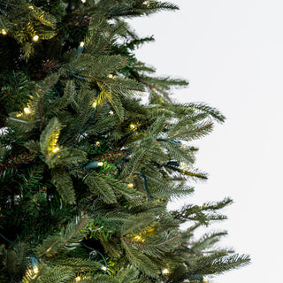 12FT Pre - Lit Fraser Medium Fir Christmas Tree - ironyhome