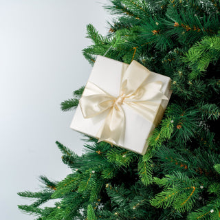 Bow Gift - Box Ornament - ironyhome