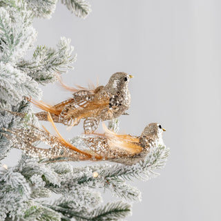 Champagne Bird Ornament with Peacock Tail - ironyhome