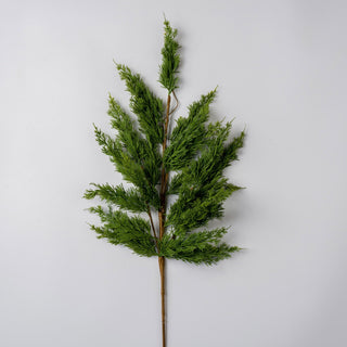 Cypress Leaf Stem - ironyhome