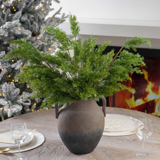 Cypress Leaf Stem - ironyhome