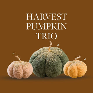 Harvest Pumpkin Trio - Irony Home