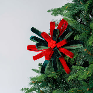 Perennial Festive Flower - ironyhome