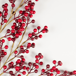 Red Berry Stem Pick - Irony Home