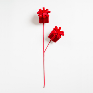 Ruby Red Gift Box Pick - Irony Home