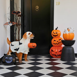 Spooky Golden Retriever with Pumpkin - ironyhome