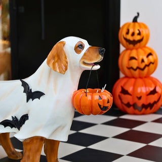 Spooky Golden Retriever with Pumpkin - ironyhome