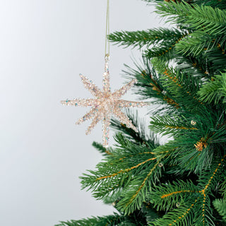 Star Burst Ornament - ironyhome