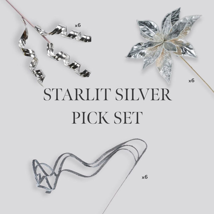Starlit Silver Pick Set - Irony Home