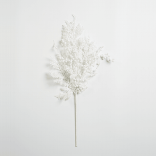 White Branch Pick - Irony Home