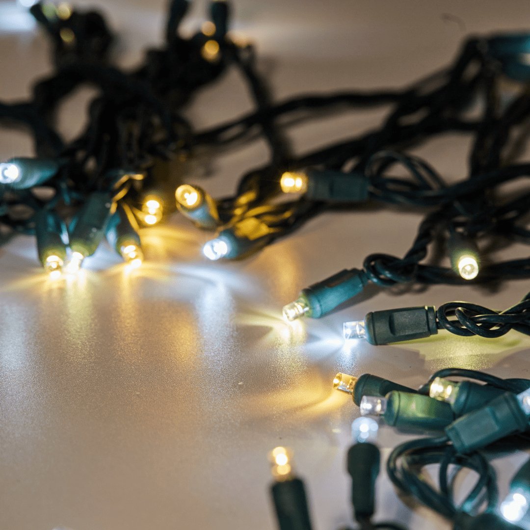 5 Meter Festive Lights Case Pack