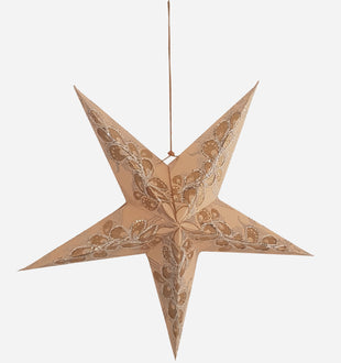 5 Pointed Decorative Star - ironyhome