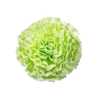 Carnation Flower Ornament with Glitter - ironyhome