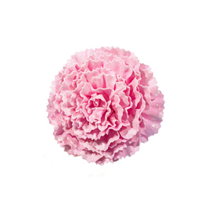 Carnation Flower with Glitters - Rose Pink - ironyhome