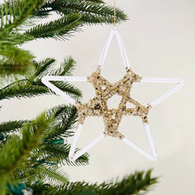 Clear Star Glass Ornament with Gold Glitter - Set of 6 - ironyhome