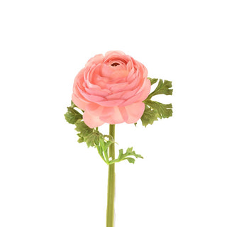 Faux Pink Ranunculus - Set of 6 - ironyhome