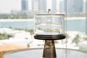 FLAT CRYSTAL DOME WITH TINTED GLASS STAND - ironyhome