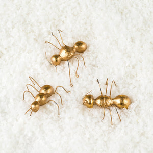 Gold Ant Ornament - ironyhome