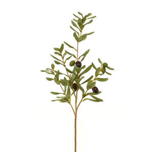 Green Olive Branch Filler