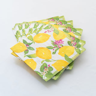 Luncheon Paper Napkins - ironyhome