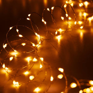 Warm White Micro LED Festive Lights