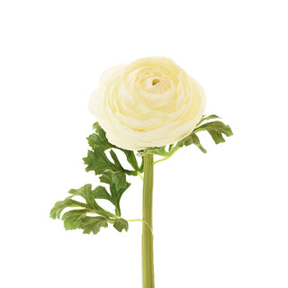 White Faux Ranunculus - Set of 6 - ironyhome