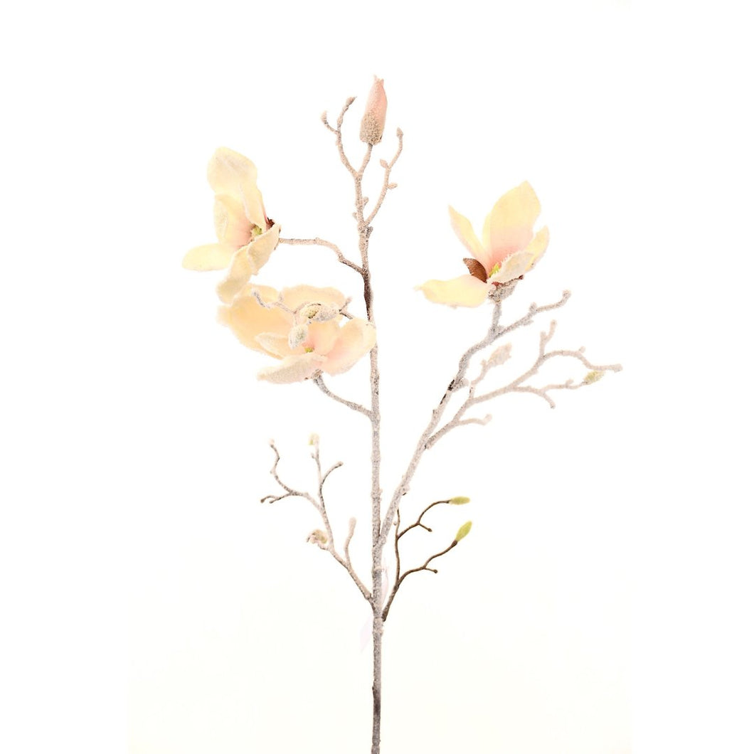 White Magnolia Stem - Set of 4 - ironyhome