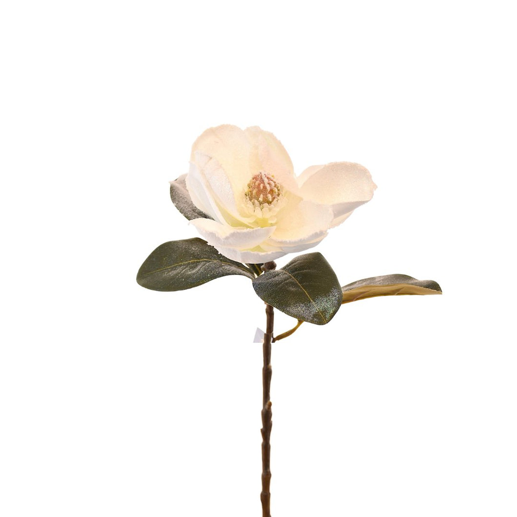 White Winter Magnolia Bud - Set of 4 - ironyhome